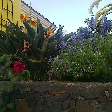 Apartamento María